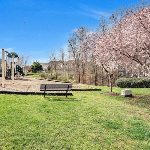Find your perfect fit at Manassas Yards a park with pink trees